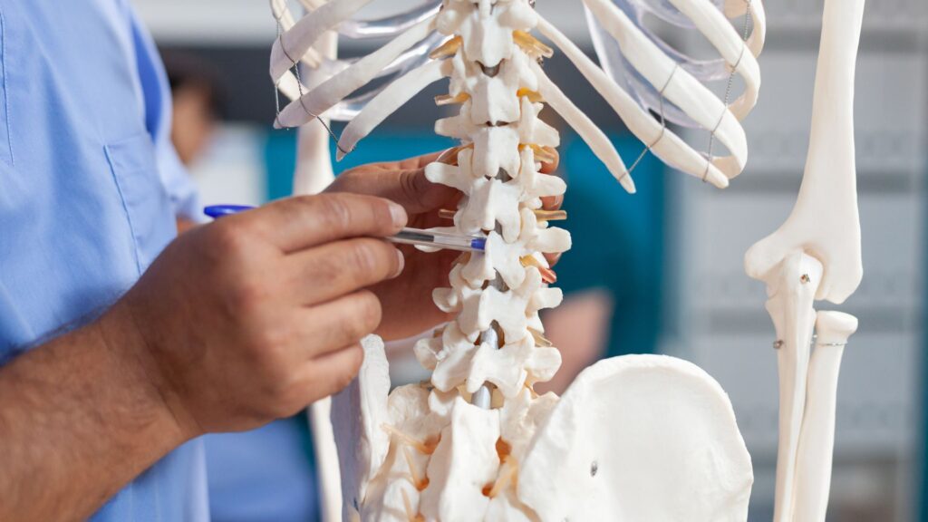 Che cos’è l’osteopatia?  Scopriamo questa disciplina terapeutica